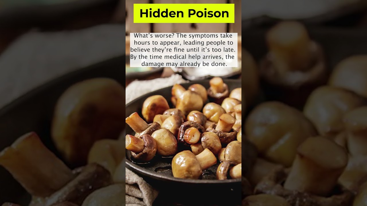 The Shocking Dangers of Death Cap Mushrooms Revealed 