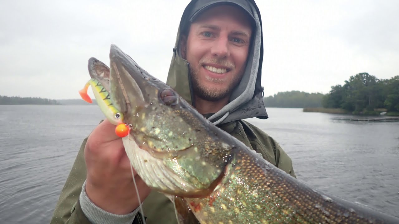 Schweden September 2020 - Angeln am See Åsnen