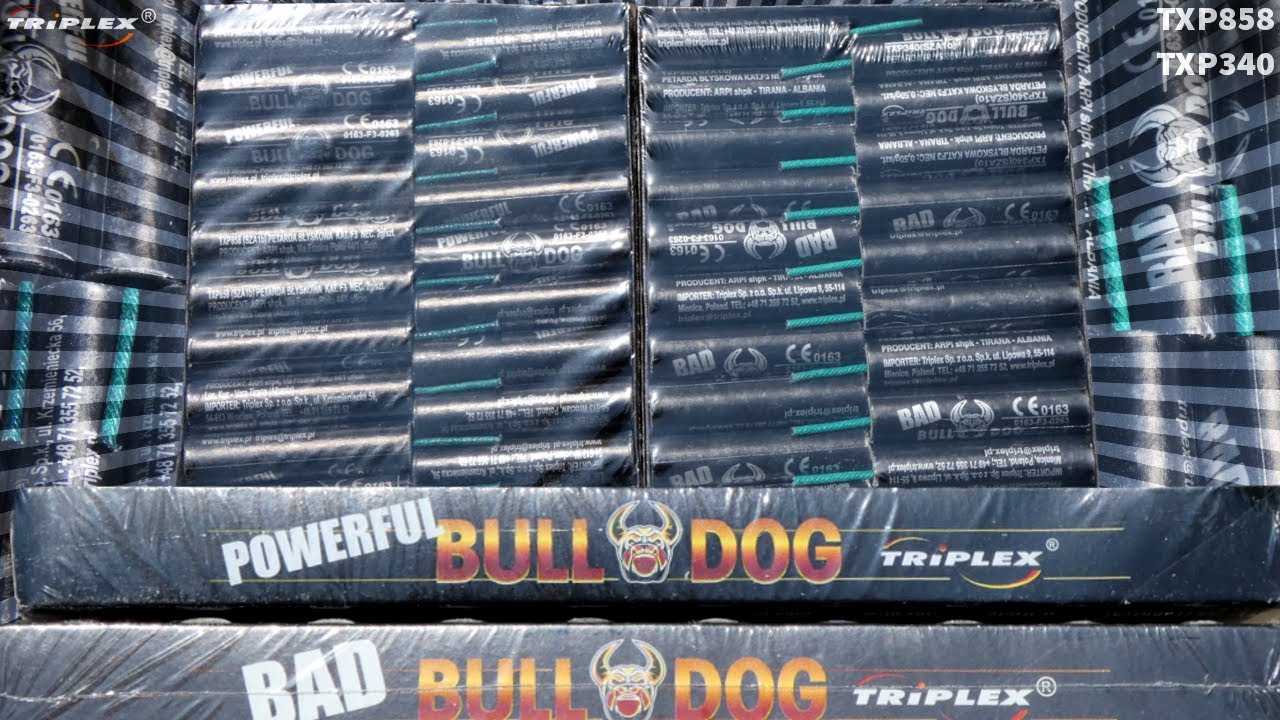 Powerfull bulldog TXP858 vs Bad bulldog TXP340 Triplex