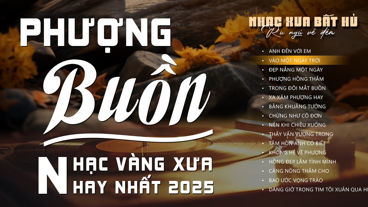 Phượng Buồn, Đoạn Buồn Đ&ecirc;m Mưa - LK Nhạc V&agrave;ng Hải Ngoại Xưa Bất Hủ Nghe L&agrave; Ngủ - C&ocirc;ng Tuấn Bolero