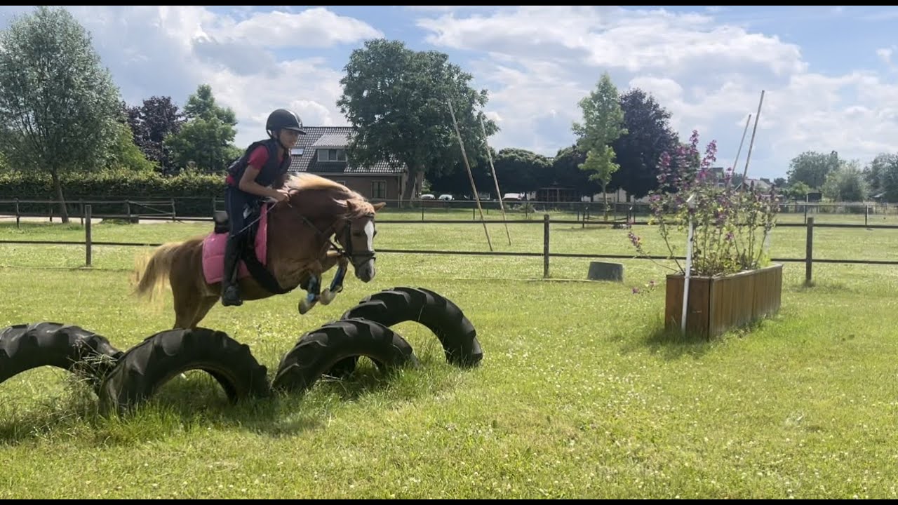 Mijn 1e pony crossles met Betty