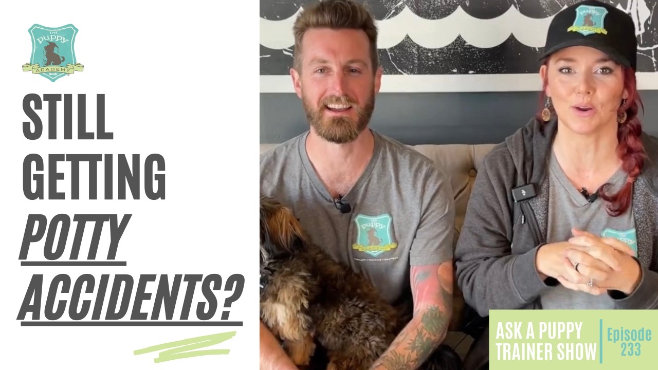 Is Your Puppy Still Having Potty Accidents? | AAPTS Ep. 233