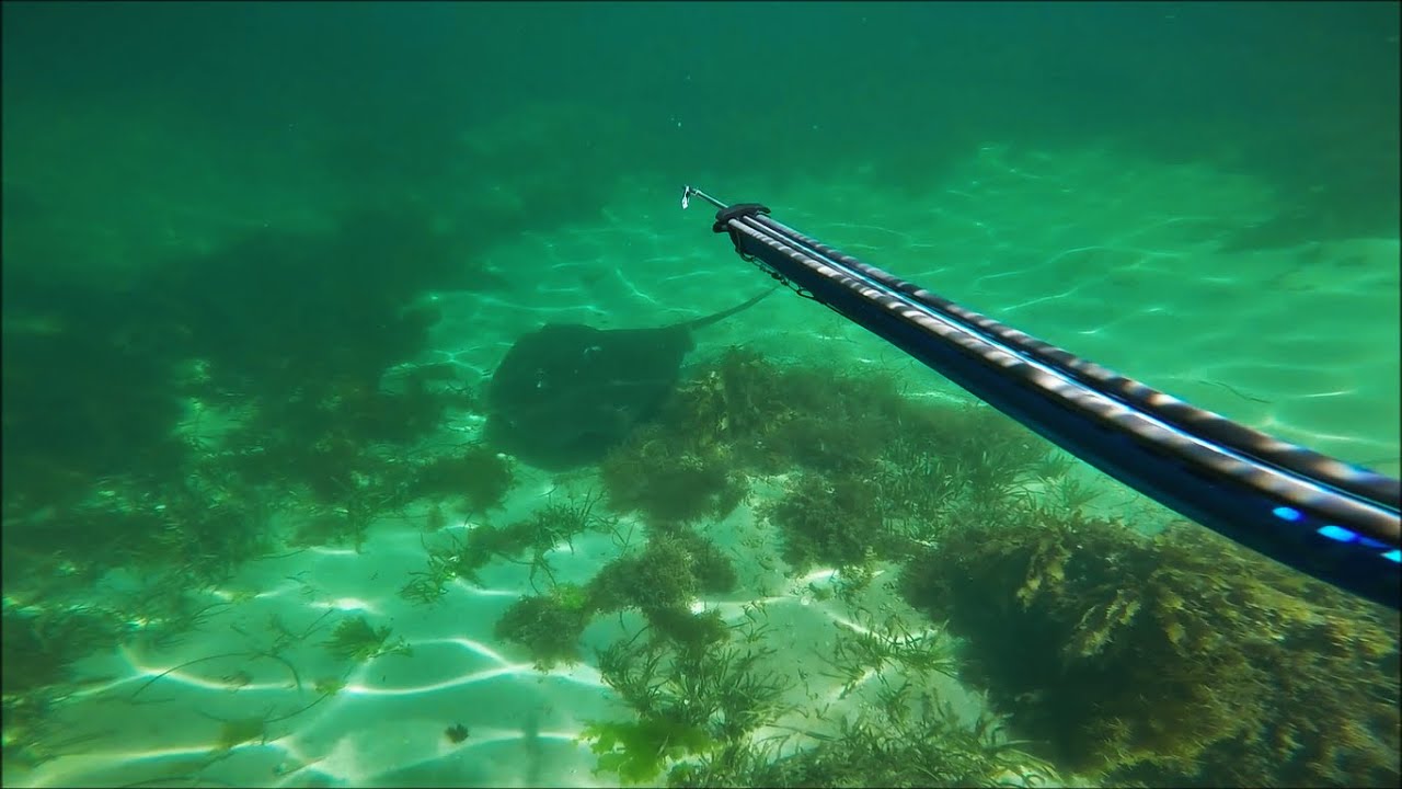 Spearfishing WA Peron GoPro hero 4
