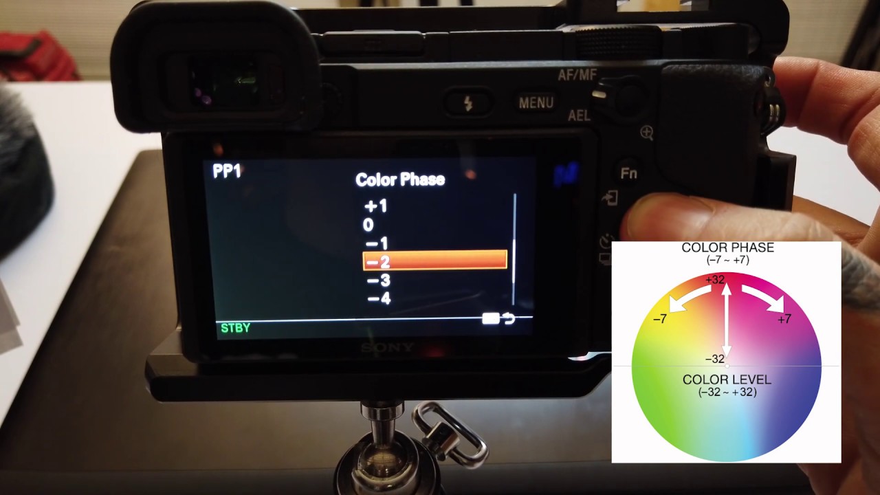 SONY PRESETS EXPLAINED! | A6300, A6400, A6500, A7III & Beyond