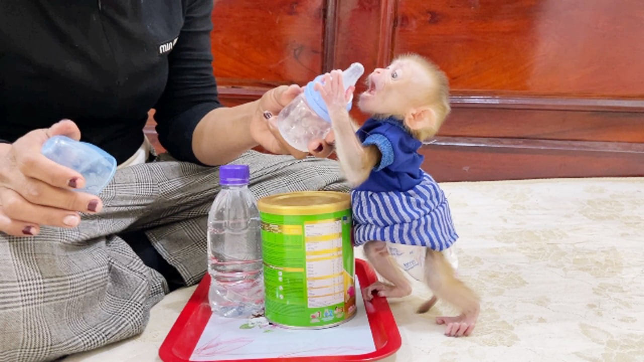 Impatient Selena Gesture To Take Bottle While Mom Preparing