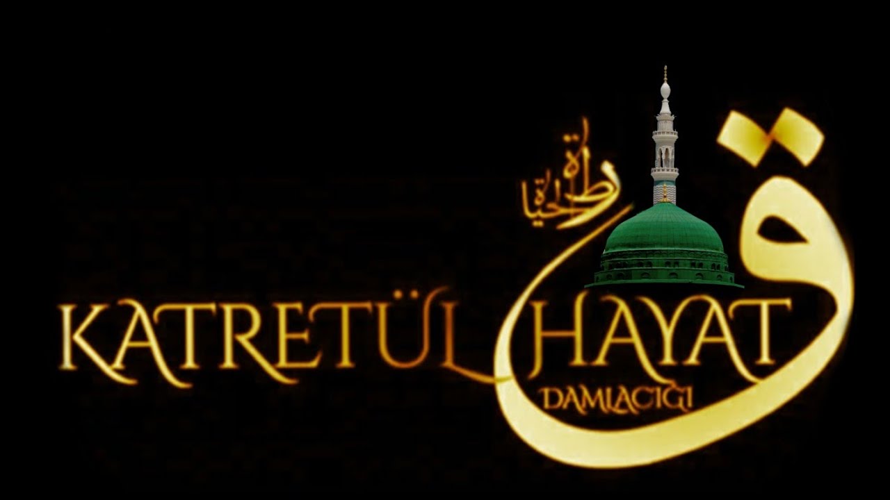 Çağırıram Ey Dost Seni ( Reis Efe) @GönüldenGönüleİlahiler  @KatreTV