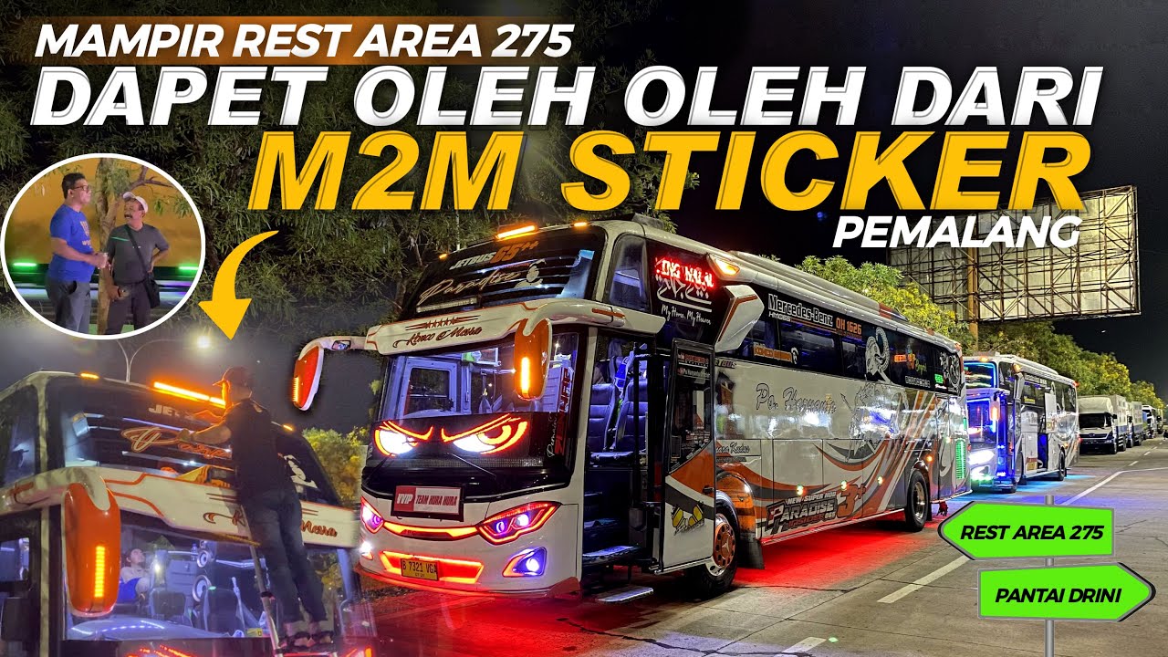 PO HARYANTO 065 PARADISE GANTI JULUKAN BARU⁉️ KETEMU TUNGGAL JAYA KIDS PANDA🤩 Trip HM 065 Part 2