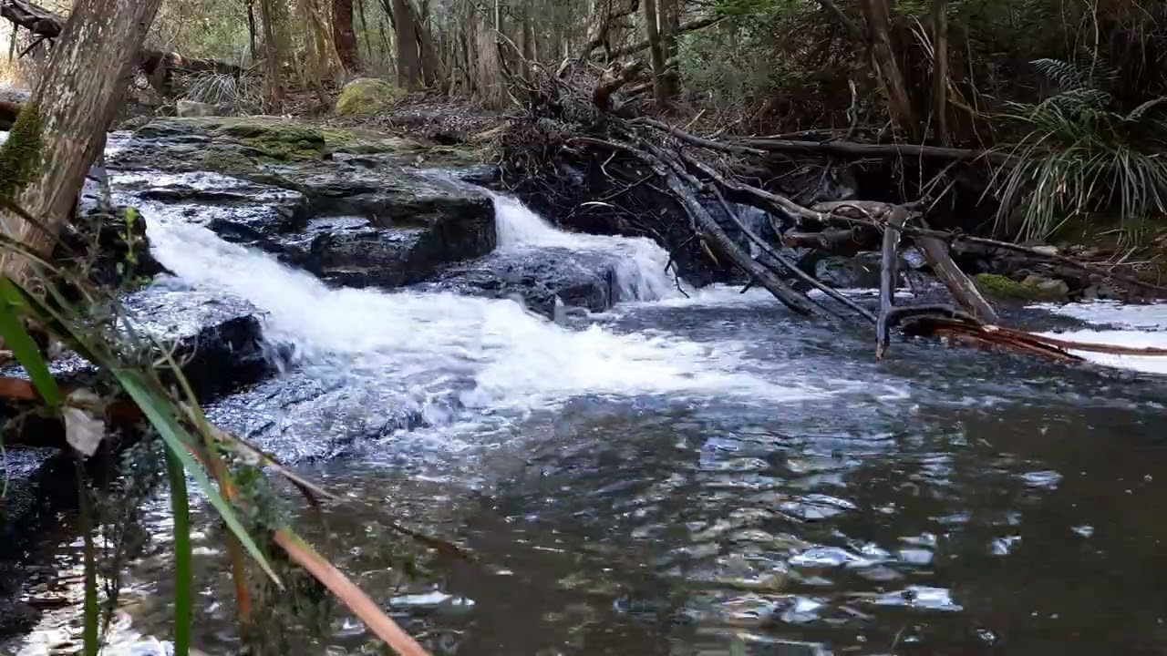 Beautiful and calm mini waterfall with relaxing guitar music.  #relaxing #calming #asmr