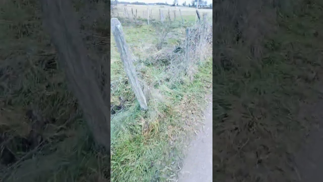 Je vous emmène de Bonne heure 🤣🤣🤣