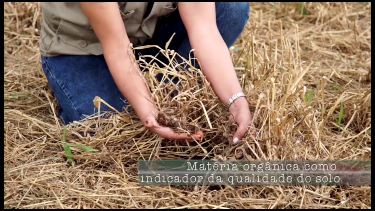 TV IAPAR 21 - EXPERIMENTOS DE LONGA DURAÇÃO EM MANEJO DE SOLO E PLANTAS DE COBERTURA