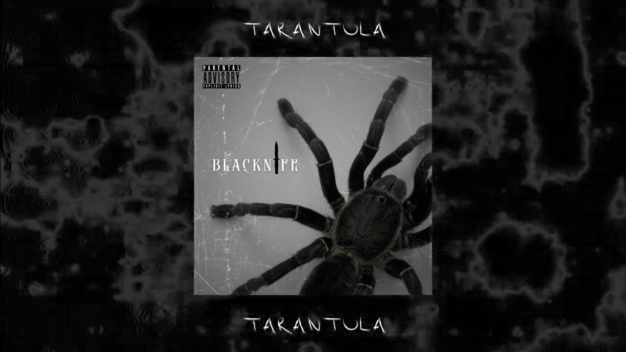 Blacknife - Tar&aacute;ntula (Visualizer)