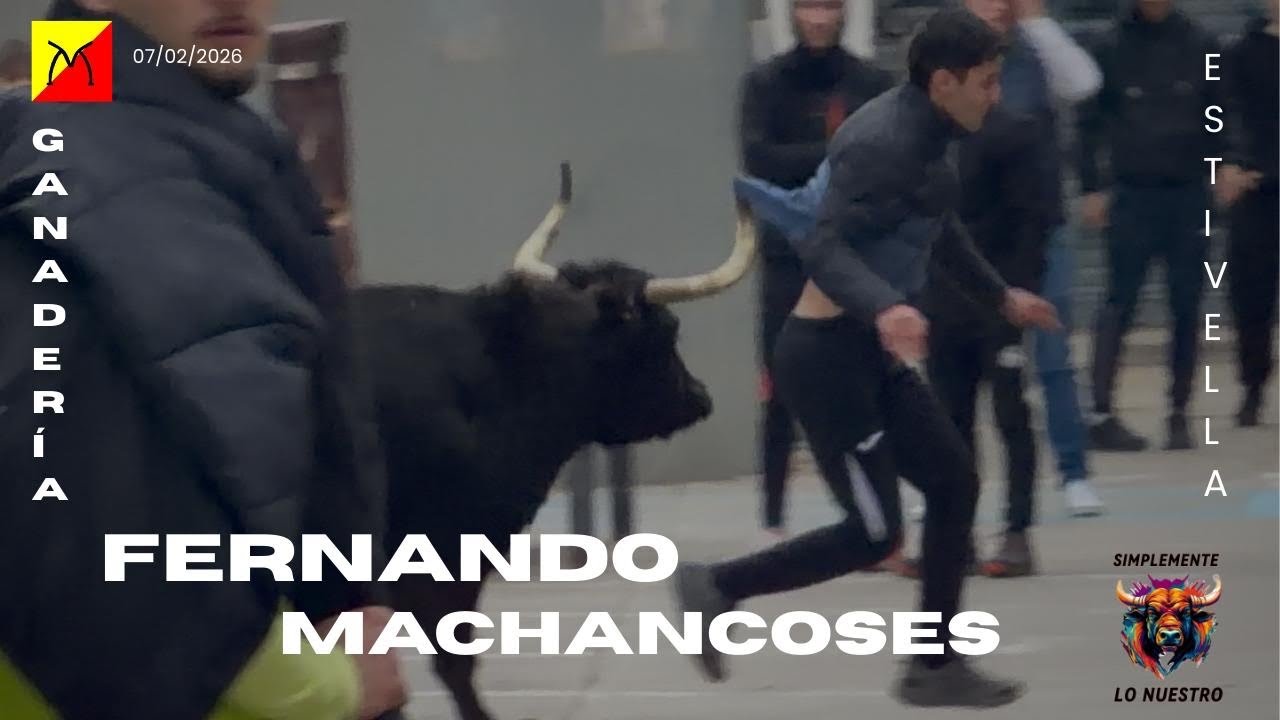 🔝 ESTIVELLA TARDE A CARGO DE FERNANDO MACHANCOSES. SANT BLAI 2026