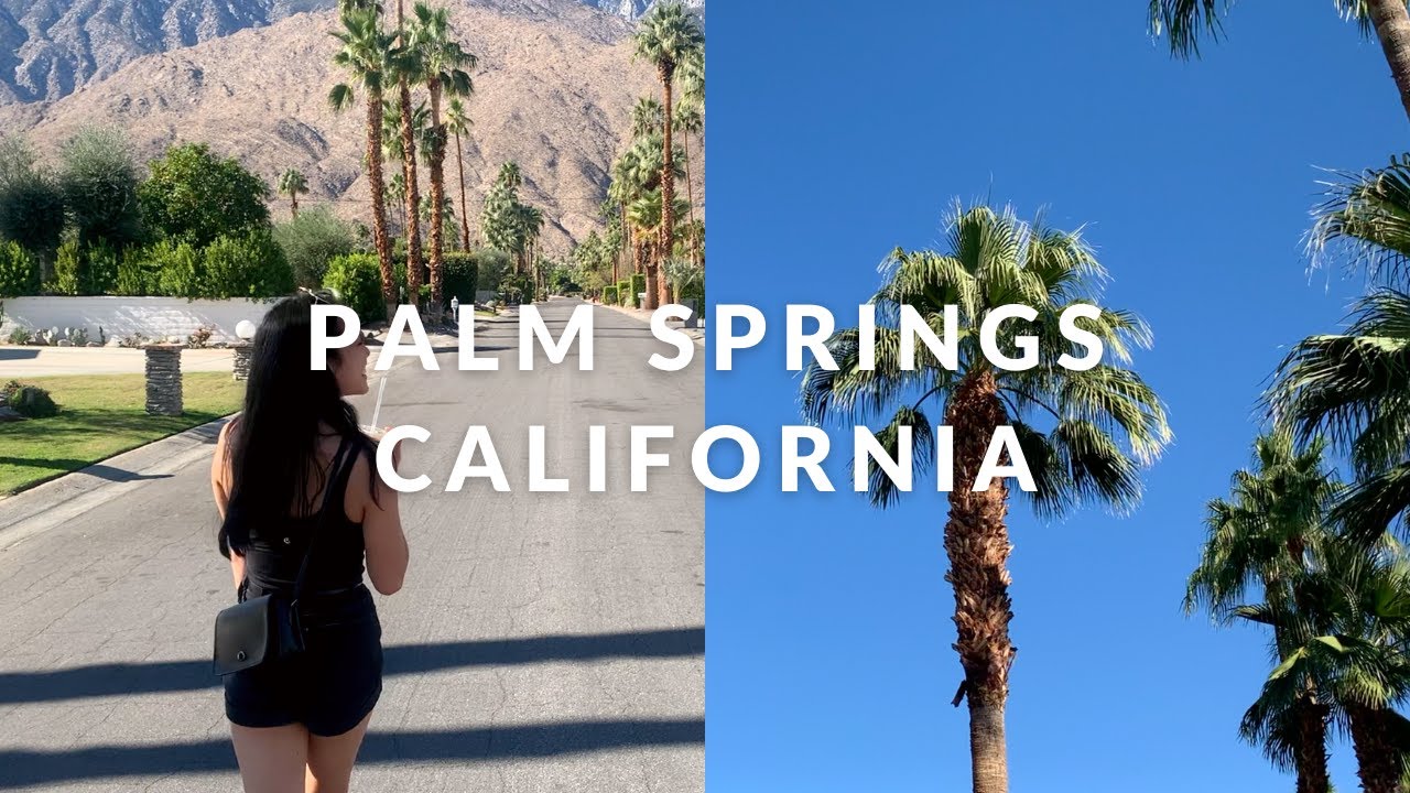 PALM SPRINGS TRAVEL VLOG | mini getaway, flying alone, desert views