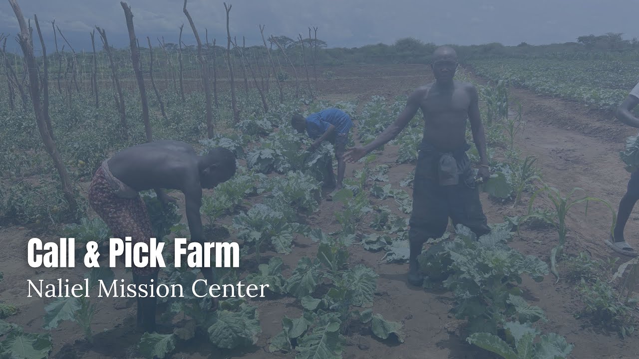 Call and Pick Farm part 2