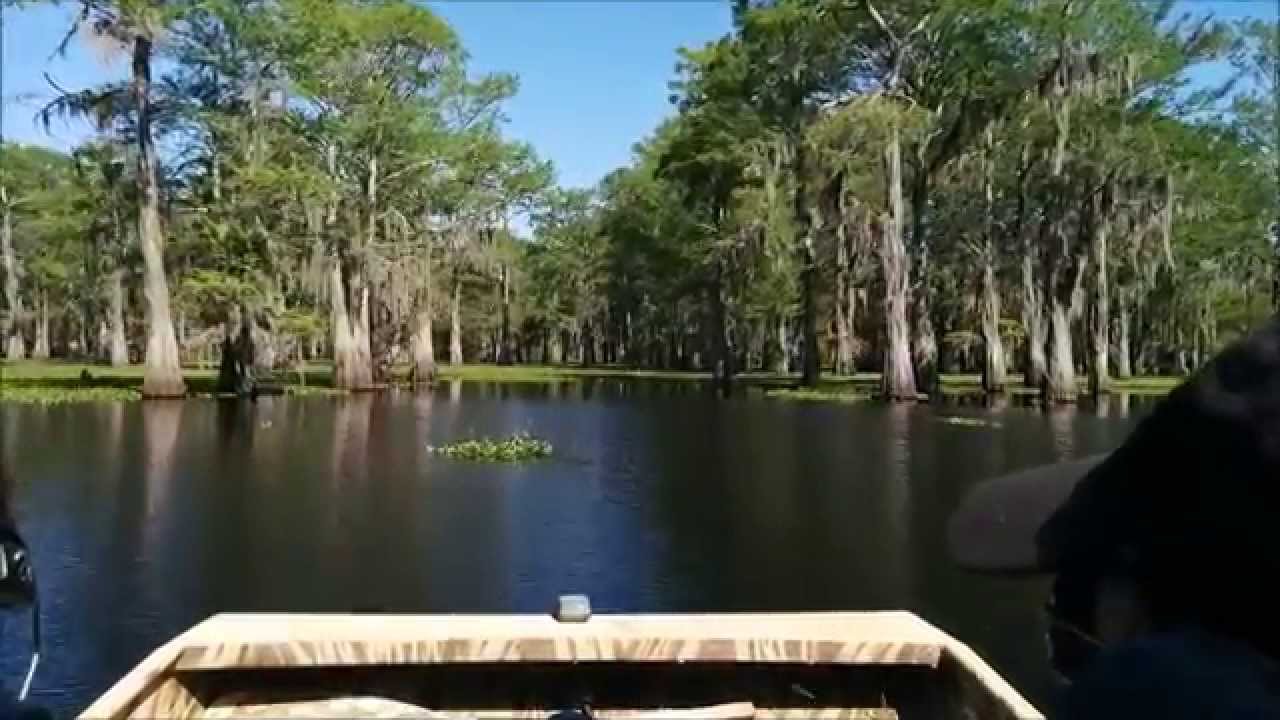 Atchafalaya Basin Air Boat Tour