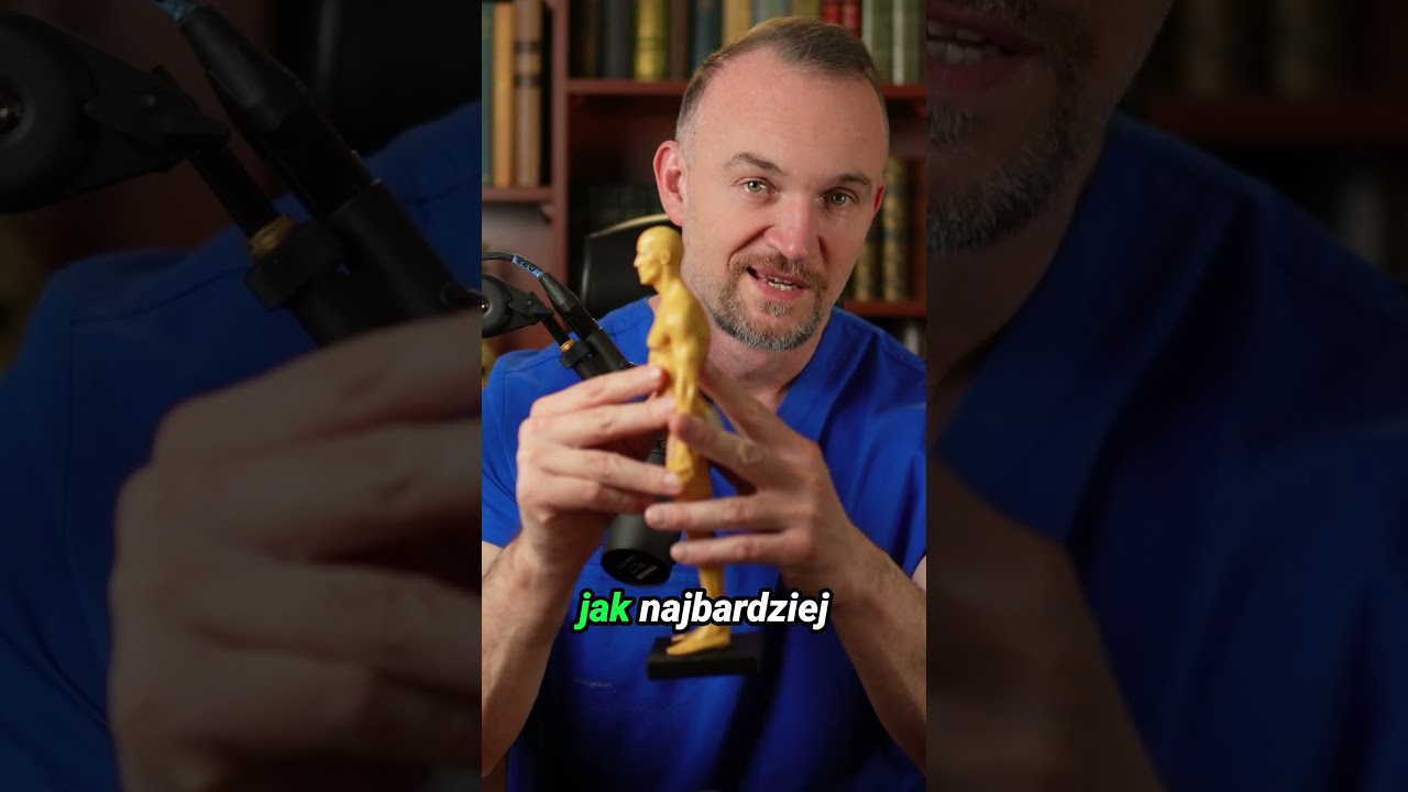 Pas na kręgosłup lędźwiowy &ndash; pomaga czy szkodzi? 🤔