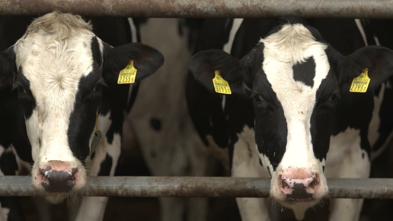 AGRO INFO | 16.02.2026 | TV Republika