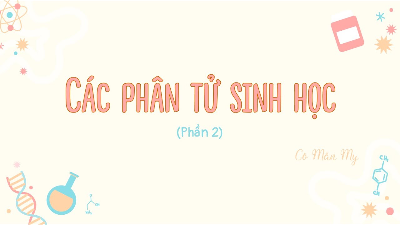 Các phân tử sinh học (Phần 2) - Sinh học 10 - OLM.VN
