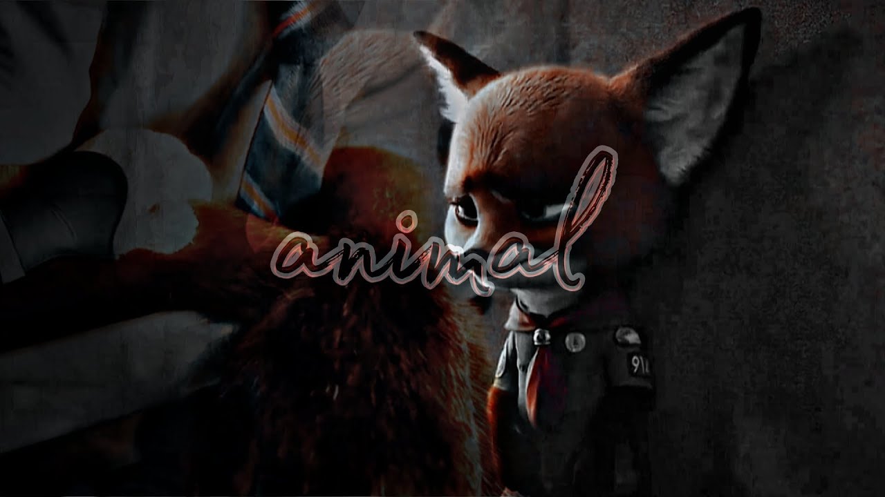 [Zootopia] Nick Wilde & Judy Hopps — Animal『amv』