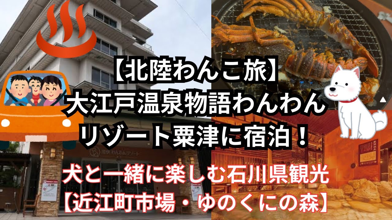 【北陸わんこ旅】大江戸温泉物語わんわんリゾート粟津に宿泊！犬と一緒に楽しむ石川県観光【近江町市場・ゆのくにの森】