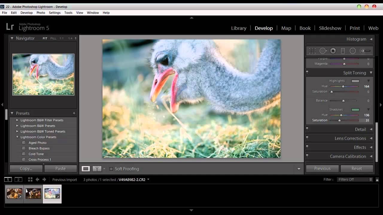 المحاضره الخامسة :: Adobe Lightroom 5