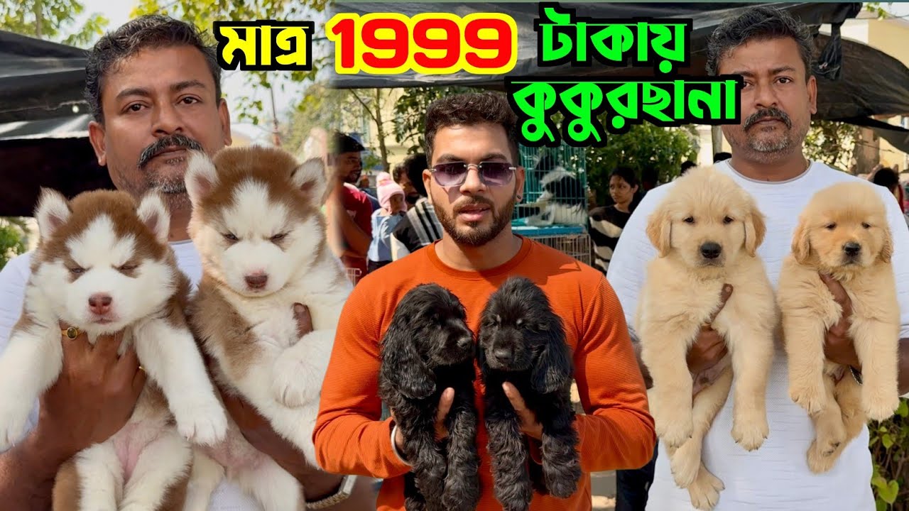 1999 টাকায় কুকুরছানা কিনুন! Serampore Pet Market. Dog Market in Kolkata Price.