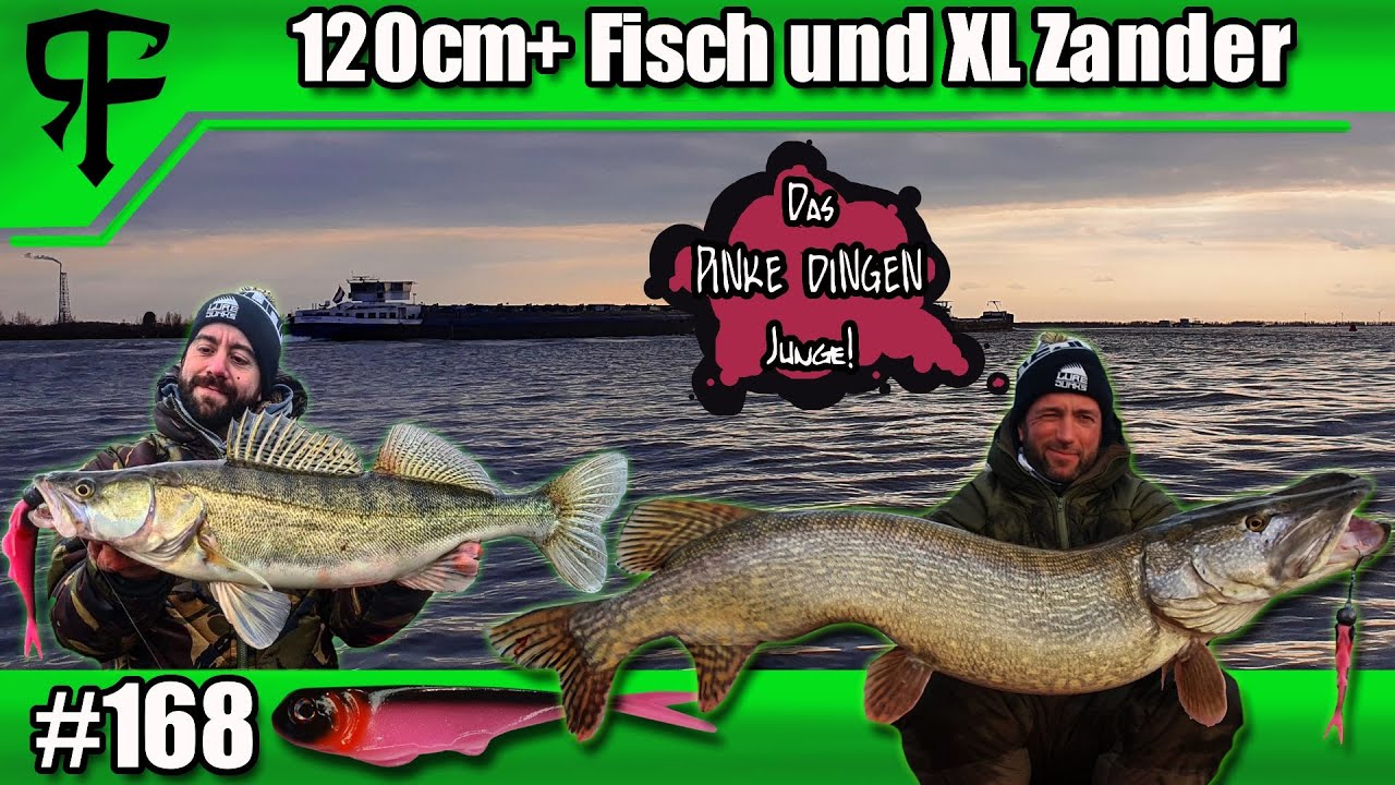Angeln auf REKORD HECHTE und XL ZANDER pelagisch im Freiwasser| Fatkamp rasiert alles🤪