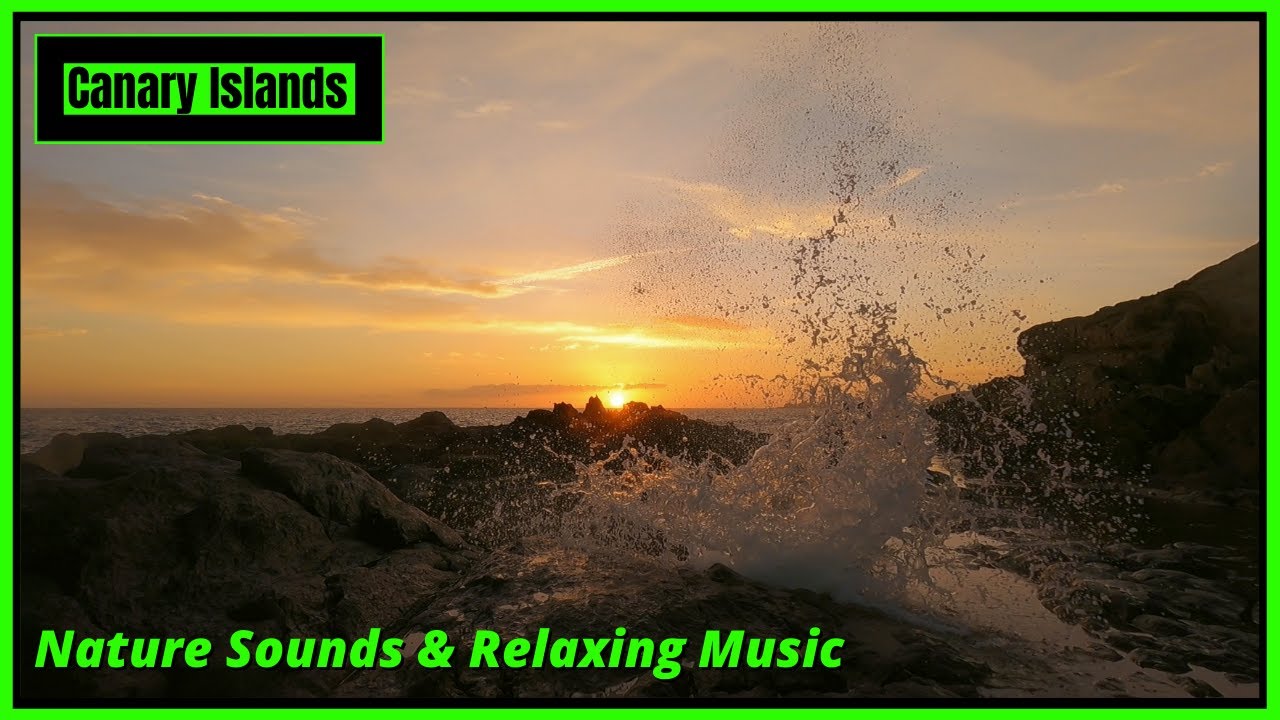 MUSICOTERAPIA: Musica Rilassante e Suoni Naturali dell'Oceano per Calmare Ansia, Ira e Stress.