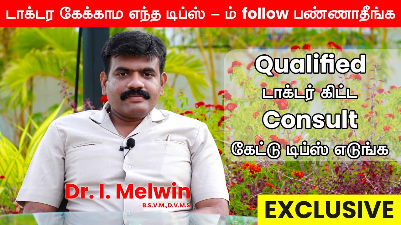 காது  பிரச்சனை !  ENT Treatment Awareness | சரியான மருத்துவரை அணுகுங்கள் | Trending Today| Dr.Melwin