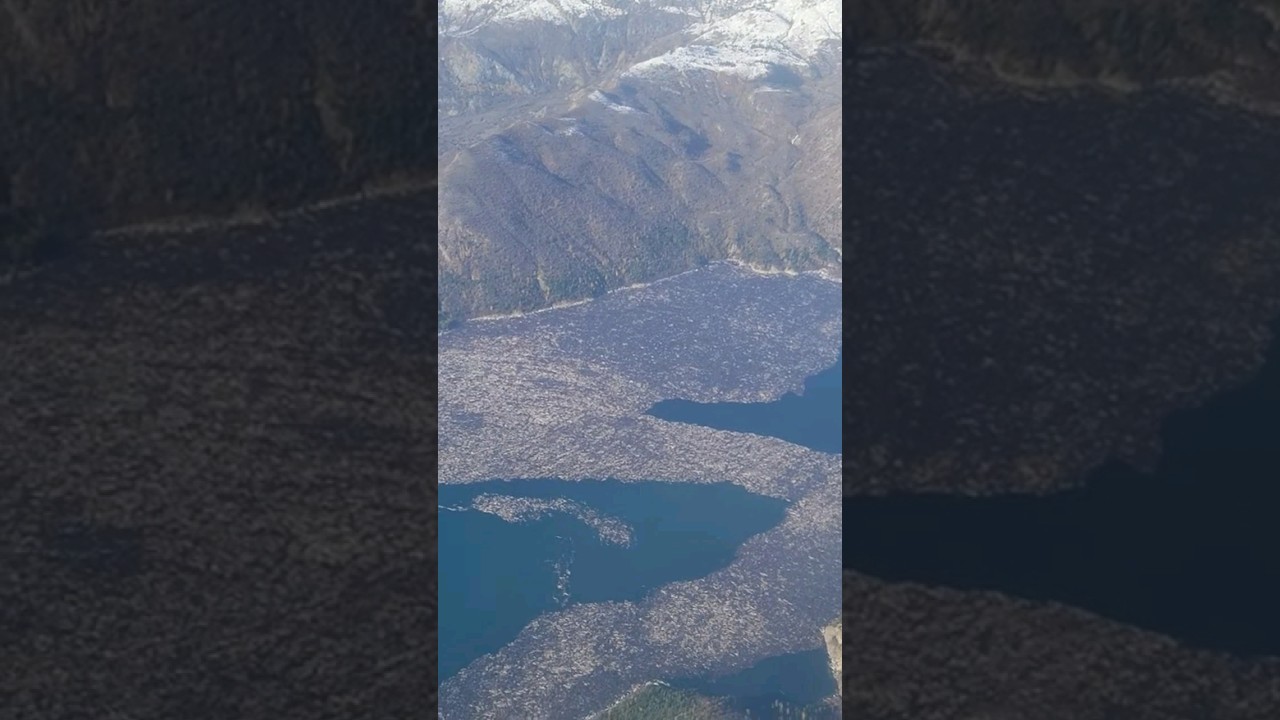 Trees still floating in Spirit Lake from 1980 Mount Saint Helens eruption - Kenmore scenic flight