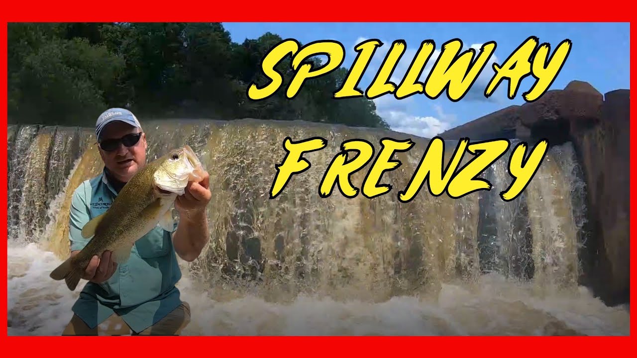 SPILLWAY FRENZY!! (ROSS BARNETT)