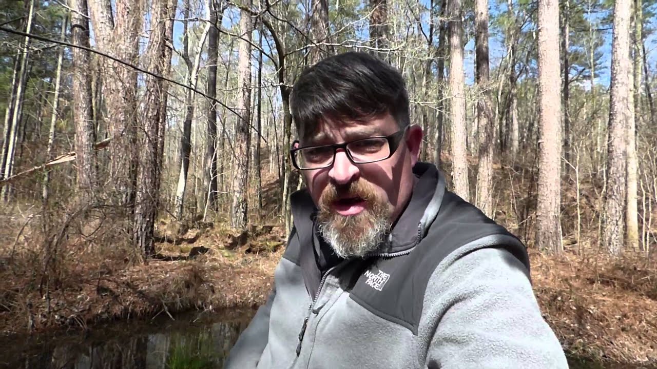 Alabama Bigfoot in Talladega National Forest