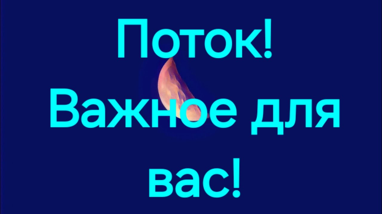 Важная информация для вас! #ПредсказанияЛели