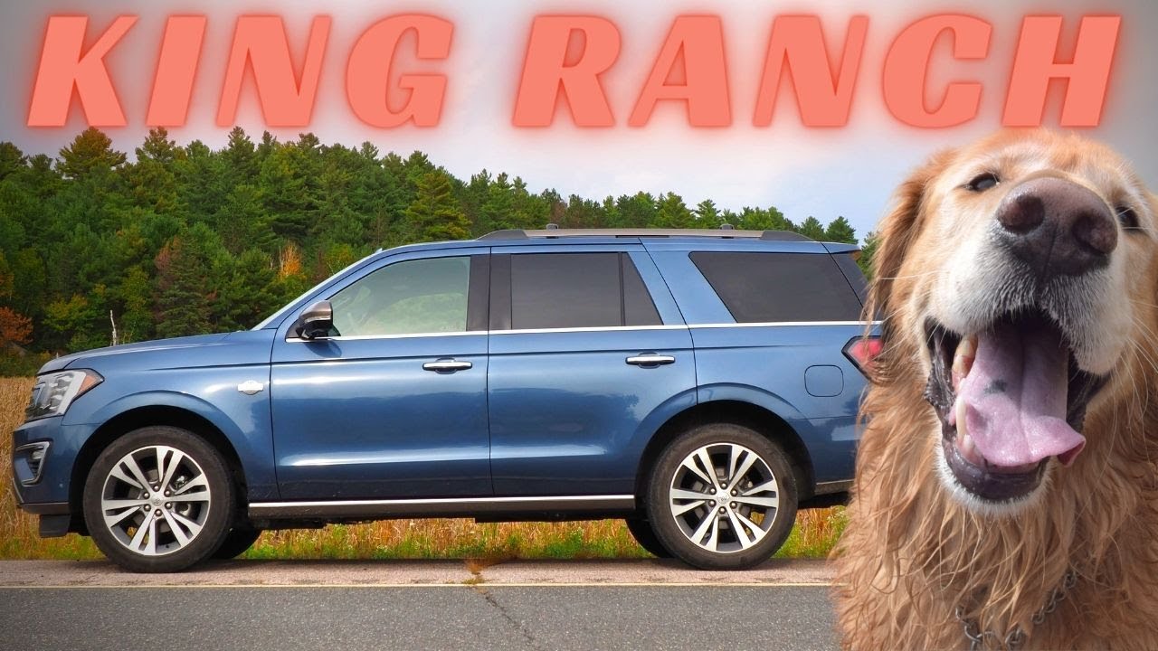 2020 Ford Expedition King Ranch Review | My Golden Retriever LOVES this SUV!