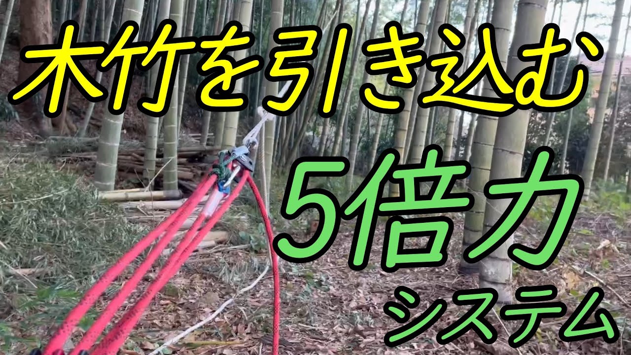 少しだけ専門的な道具（2万円）を使って、木竹を引き込む。