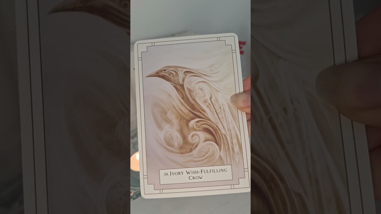 Or&aacute;culo luz blanca #or&aacute;culo #cartasdetarot #tarotespiritual #aprendiendotarot #tarotespa&ntilde;ol #oraculo