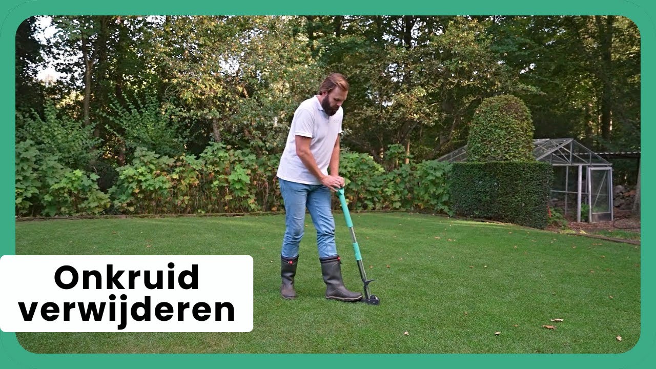 Onkruid in het Gazon!