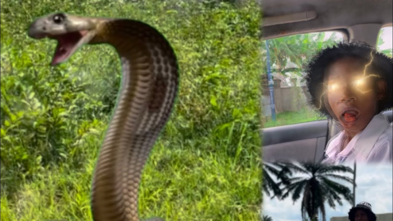 The snake girl