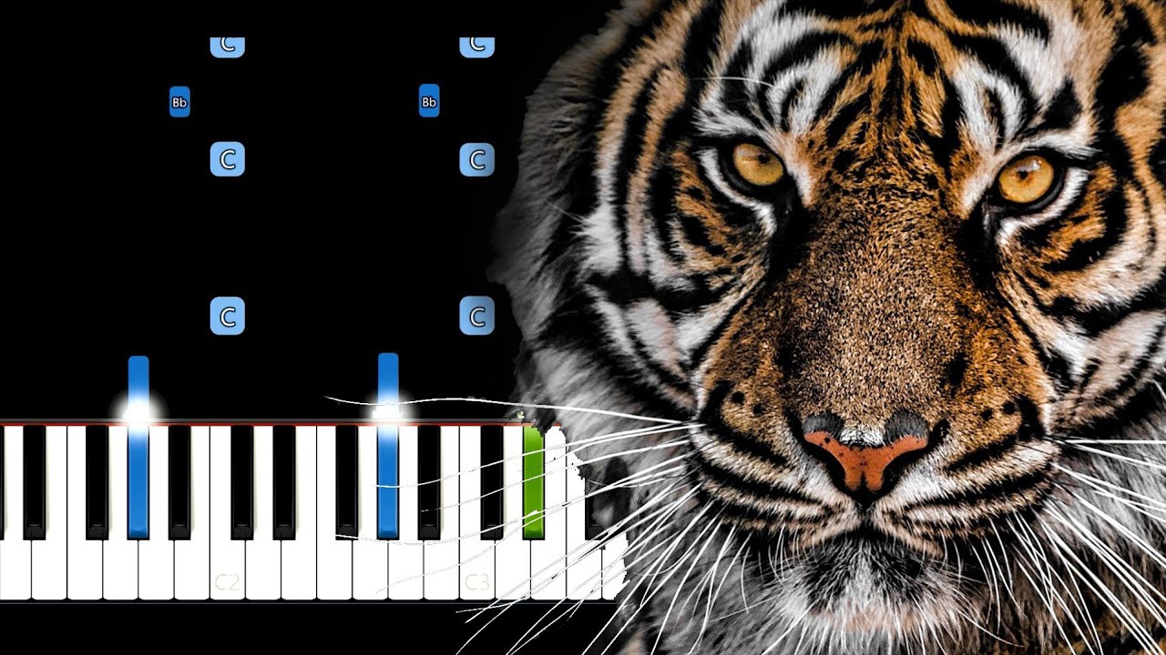 Survivor - Eye Of The Tiger Piano Tutorial