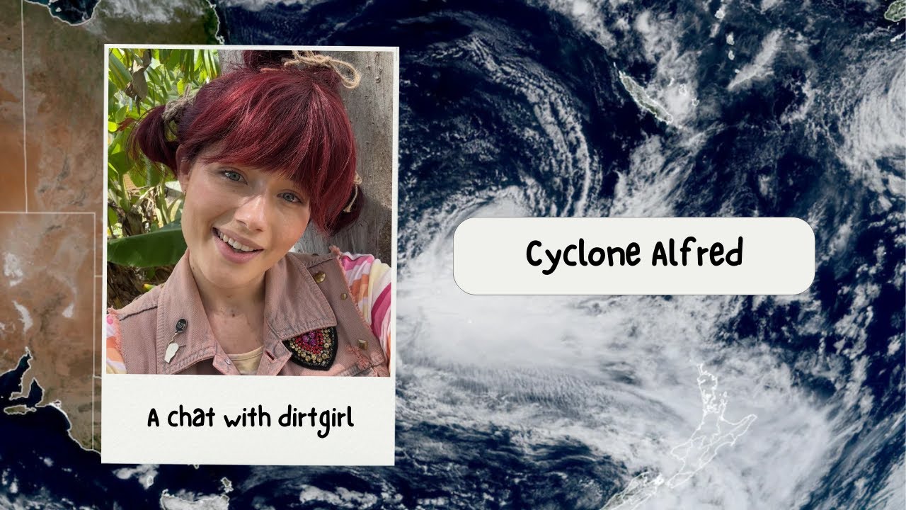 Cyclone Alfred - Chat with dirtgirl
