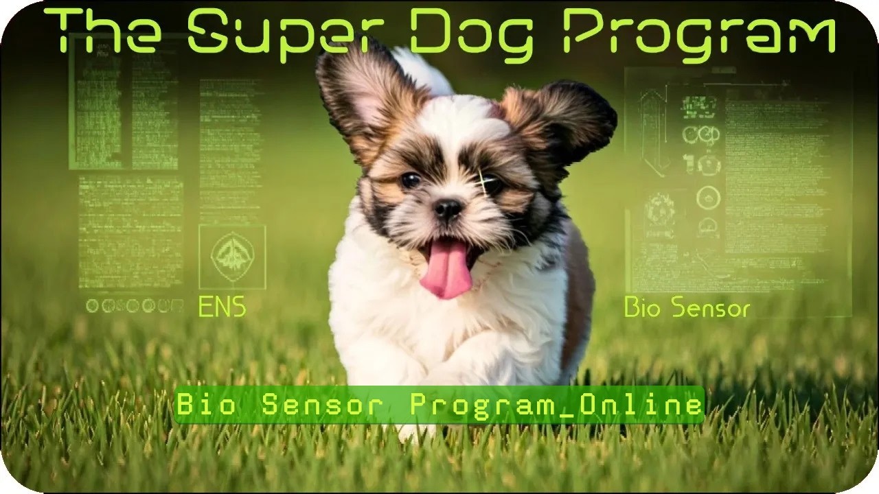 BREEDING THE ULTIMATE SHIH TZU THROUGH BIO SENSOR TRAINING | Super Dog Program | Pup-Tzu WNC