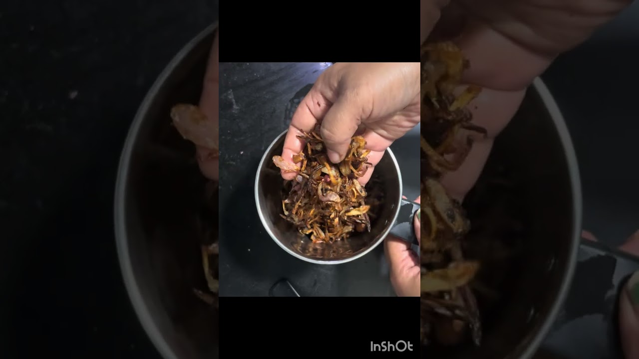 Lets cook today chicken with curd #nonvegrecipe #cooking #easyrecipe #homecook #viralvideo 