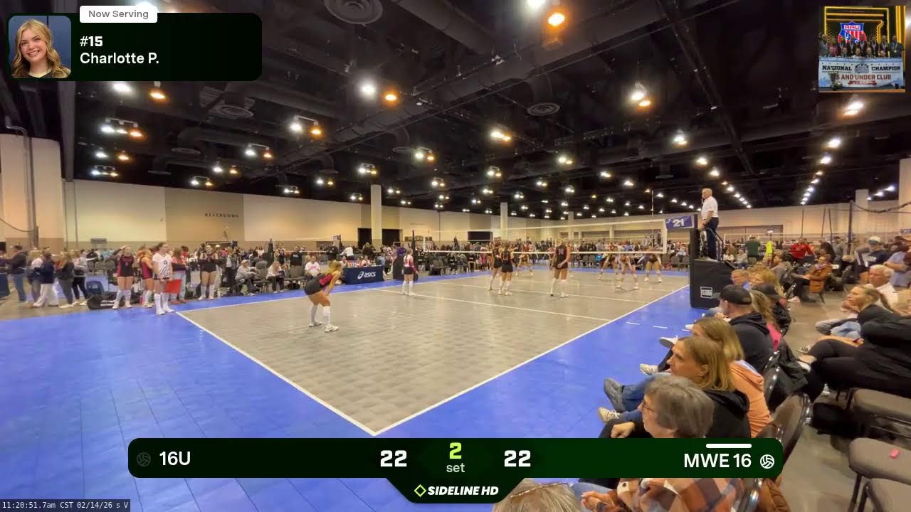 MWE 16 vs. I6 Gold (2026.02.14)