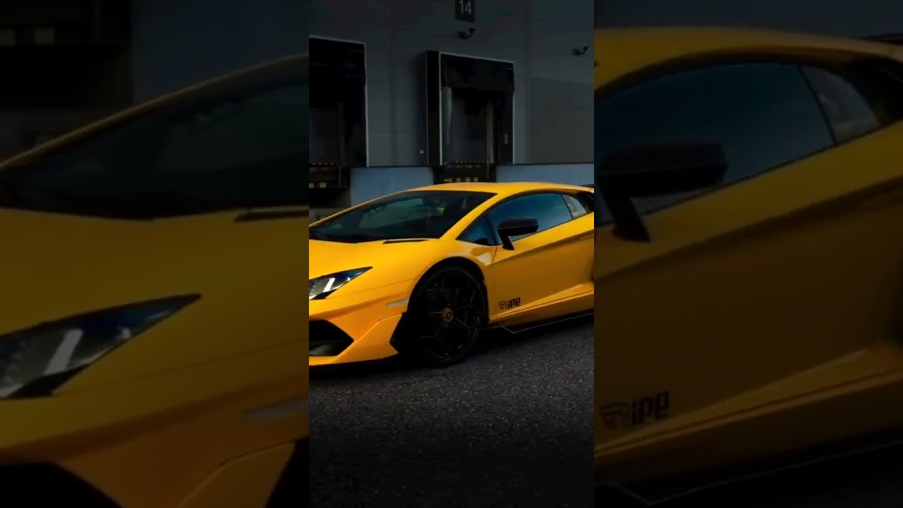 One BEE SVJ Moment That Hits Right in the Feels