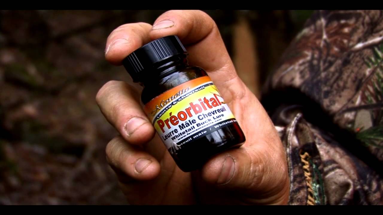 Technique pour provoquer les mâles chevreuils