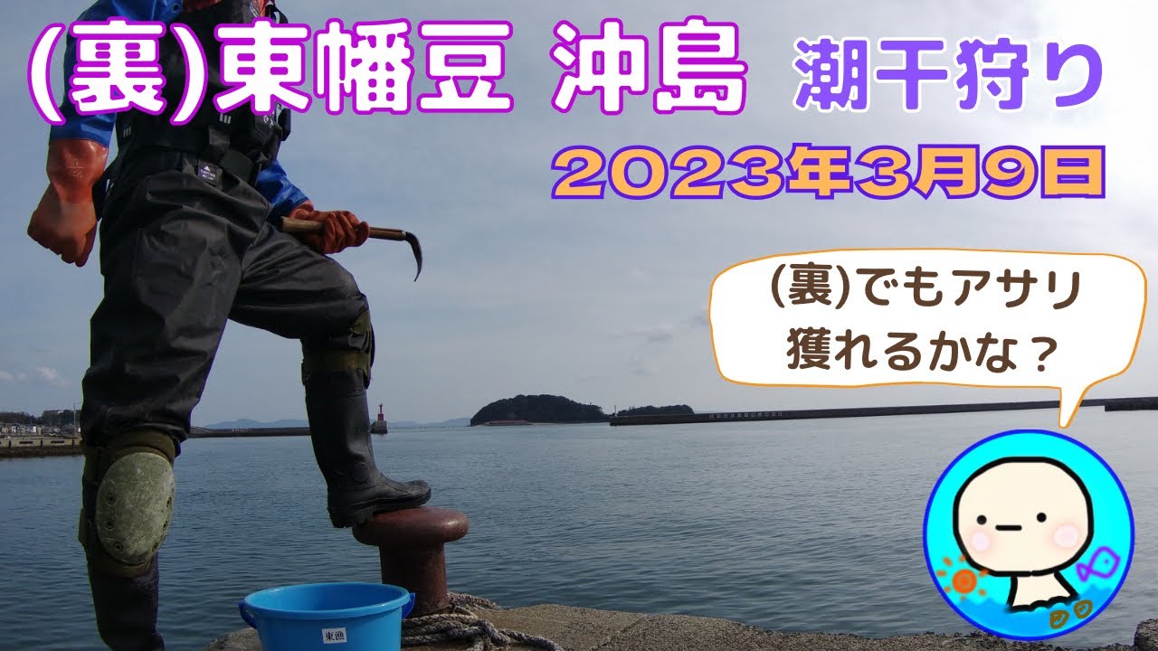 【東幡豆 沖島(裏)】 島の裏側で掘ってみました。