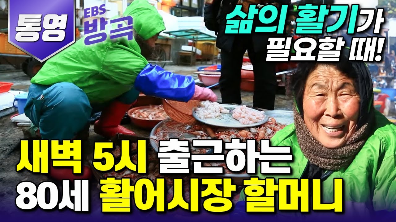 [경남 통영] 40년째 매일 새벽 5시부터 활어시장을 지켜온 80세 할머니와 시장상인들의 정겨운 하루┃통영 '서호시장'┃#한국기행 #방방곡곡