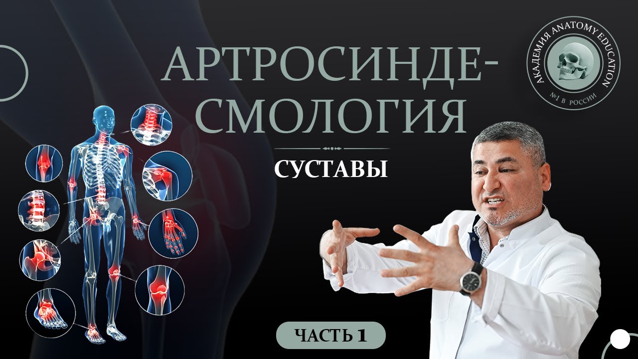 Артросиндесмология. Суставы часть 1 / ARTHROSYNDESMOLOGIA