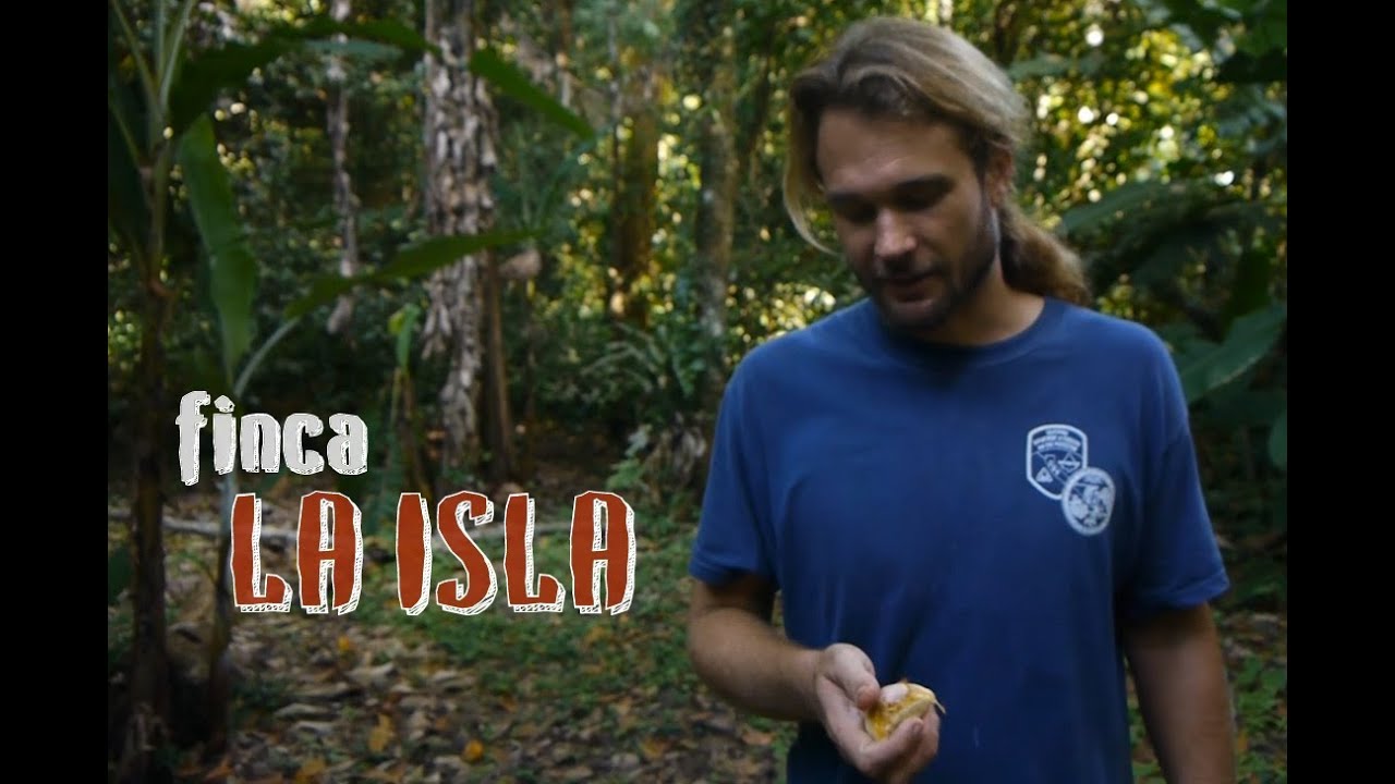 Finca La Isla - Familia Kring
