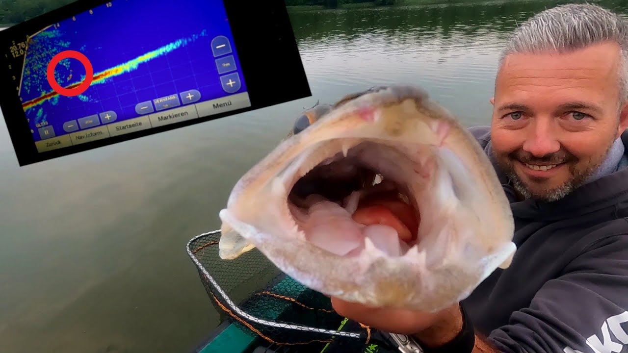 Pelagisch auf dicke Zander - Auf der Suche nach dem neuen PB